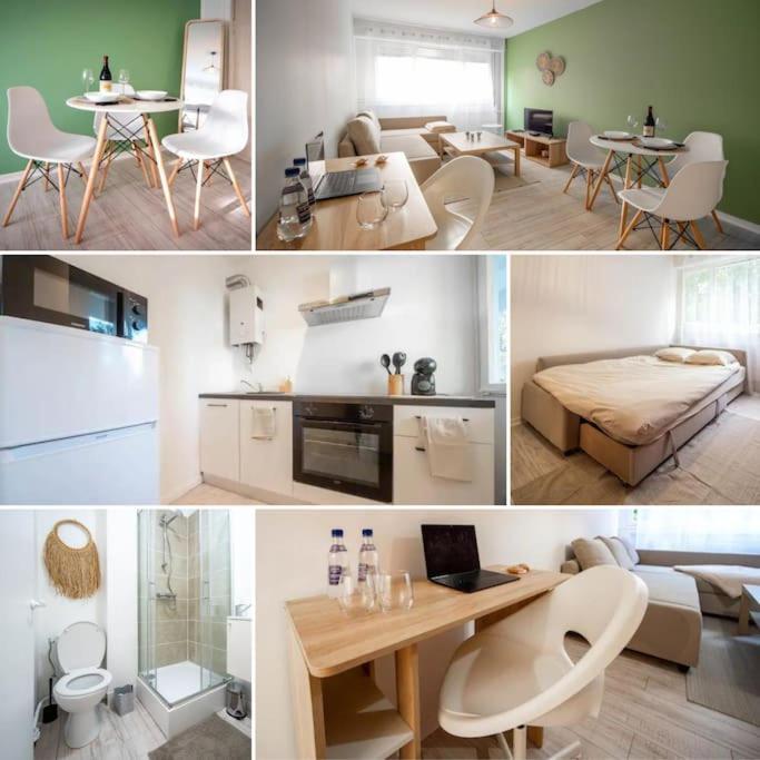 Le Studio Tropical Chalon-sur-Saône Eksteriør billede
