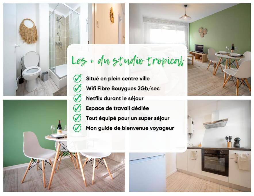 Le Studio Tropical Chalon-sur-Saône Eksteriør billede